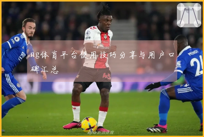 ng体育平台使用技巧分享与用户口碑汇总