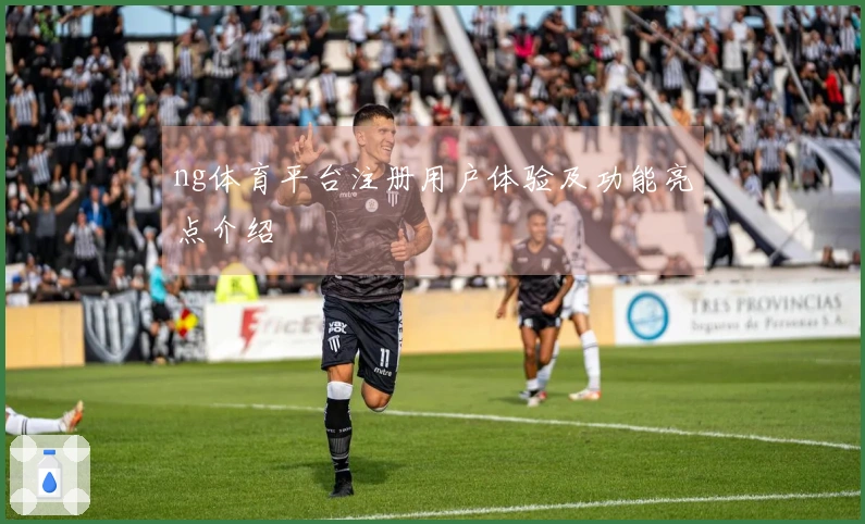 ng体育平台注册用户体验及功能亮点介绍