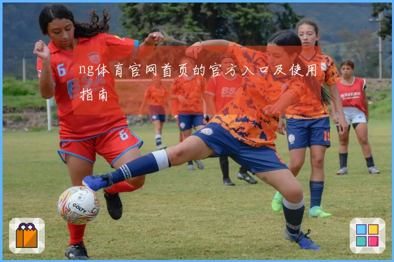 ng体育官网首页的官方入口及使用指南