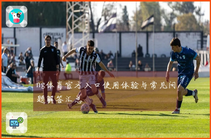 ng体育官方入口使用体验与常见问题解答汇总