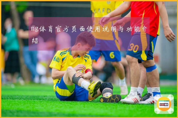 ng体育官方页面使用说明与功能介绍