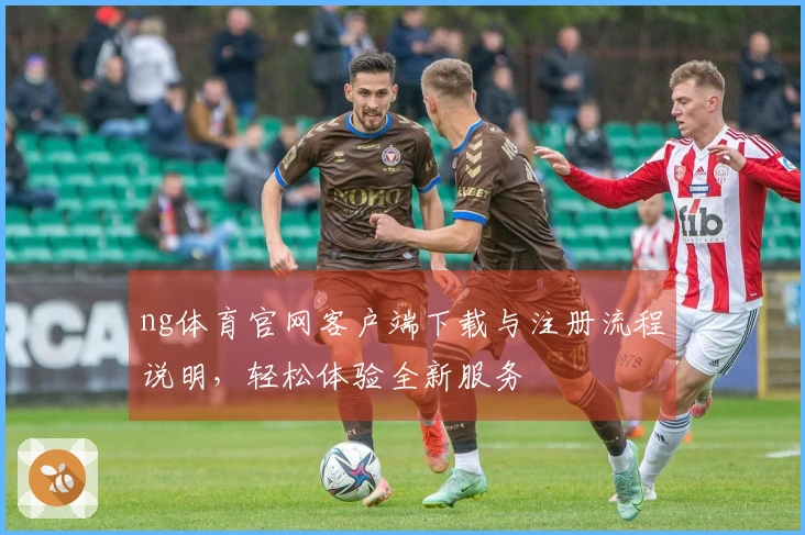 ng体育官网客户端下载与注册流程说明，轻松体验全新服务