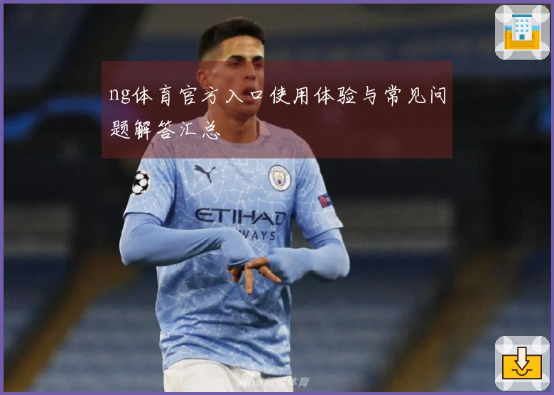 ng体育官方入口使用体验与常见问题解答汇总
