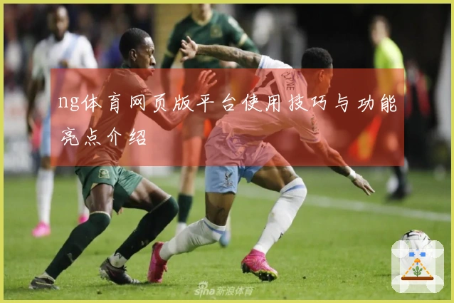 ng体育网页版平台使用技巧与功能亮点介绍